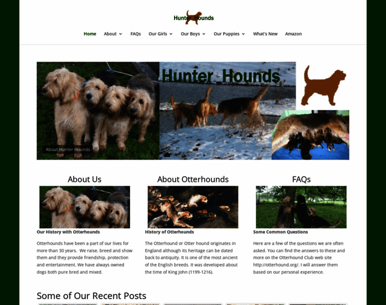 Hunterhounds.com thumbnail