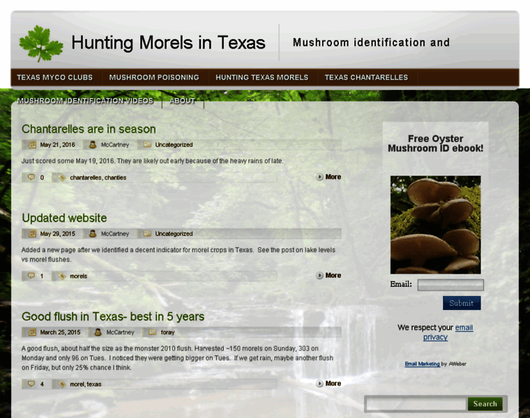 Huntingmorels.com thumbnail