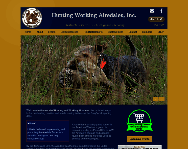 Huntingworkingairedales.com thumbnail