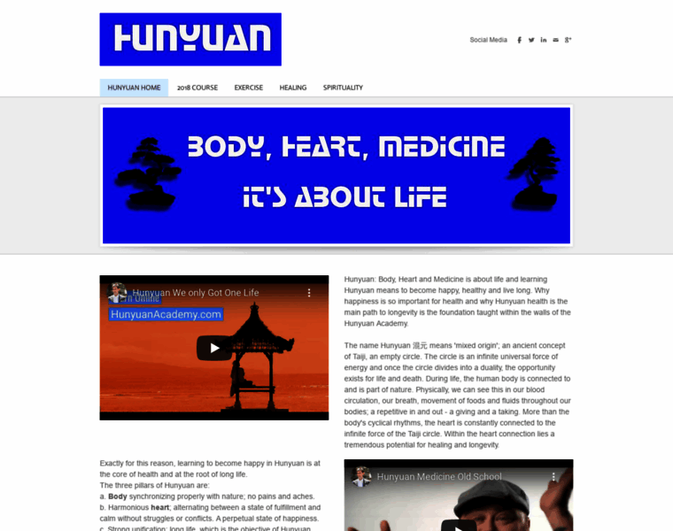 Hunyuaninstitute.com thumbnail