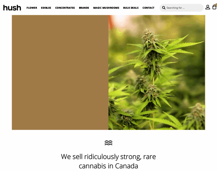 Hushcannabisclub.com thumbnail