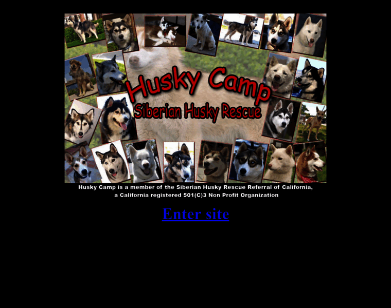 Huskycamp.com thumbnail Huskycamp.com thumbnail