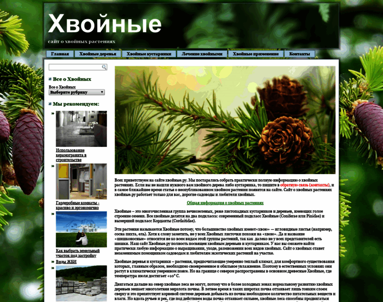Hvoinie.ru thumbnail