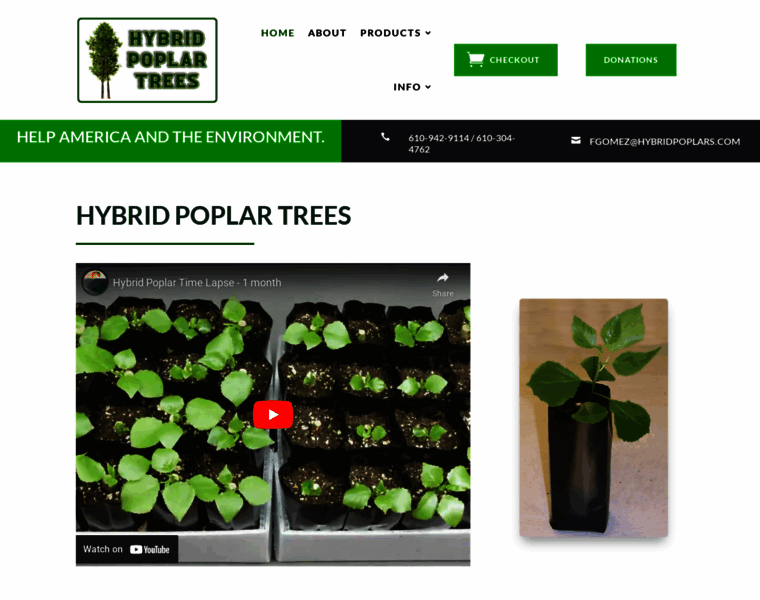 Hybridpoplars.com thumbnail