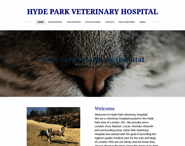 Hydeparkvethospital.com thumbnail