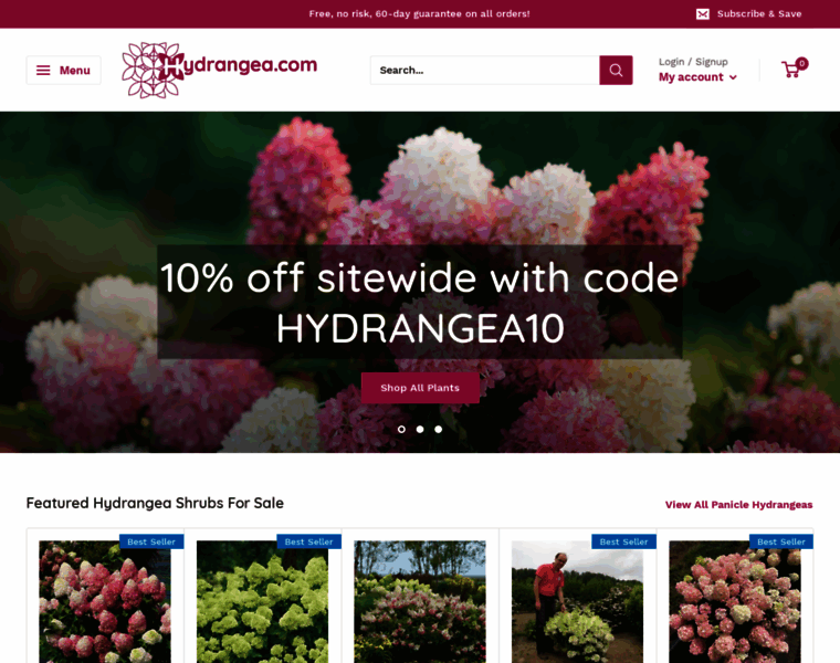 Hydrangea.com thumbnail
