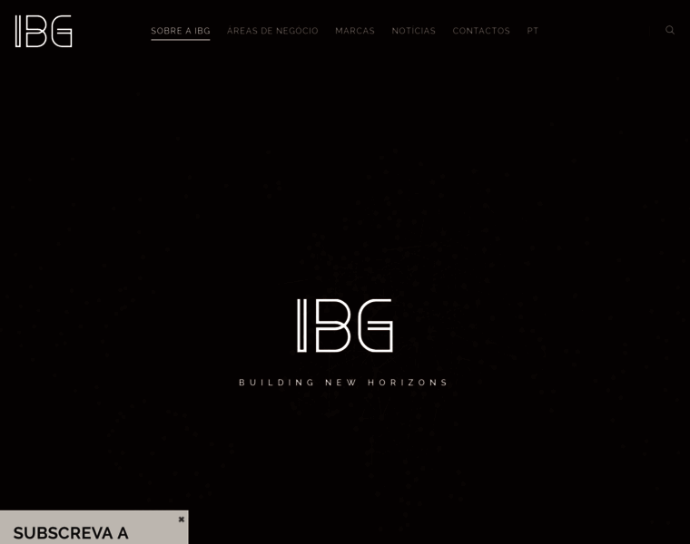 Ibg-global.com thumbnail
