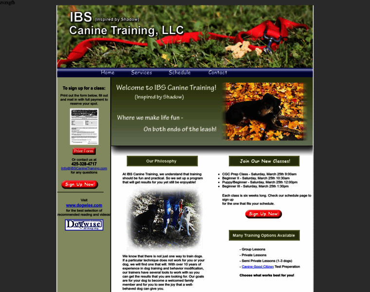 Ibscaninetraining.com thumbnail