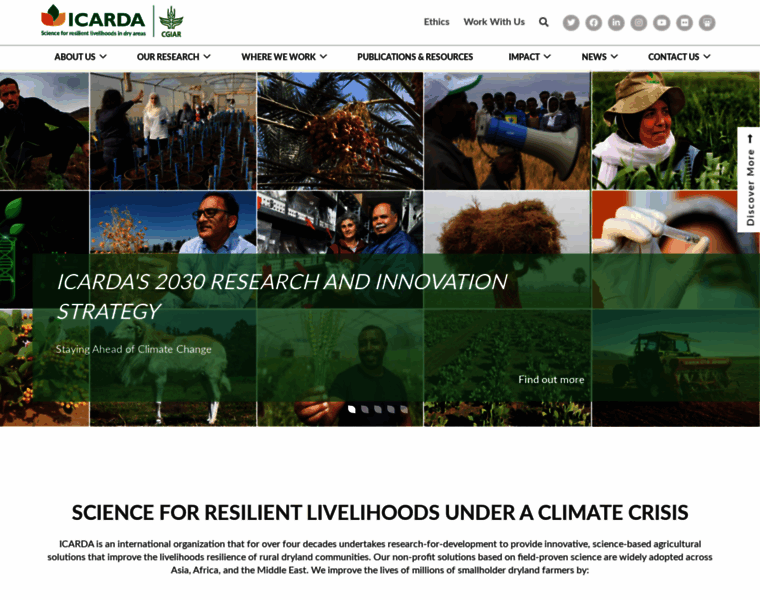 Icarda.org thumbnail