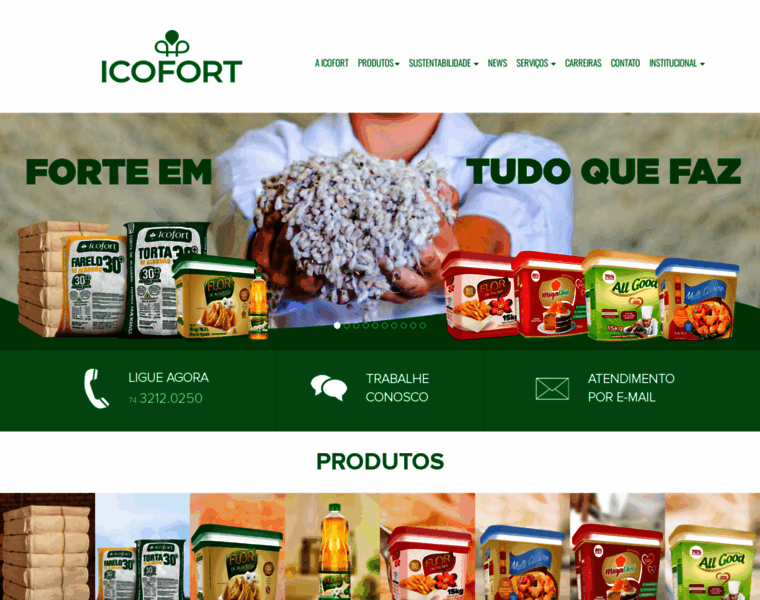 Icofort.com.br thumbnail