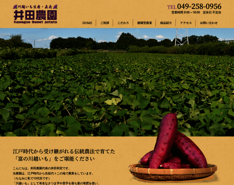 Idanouen.com thumbnail