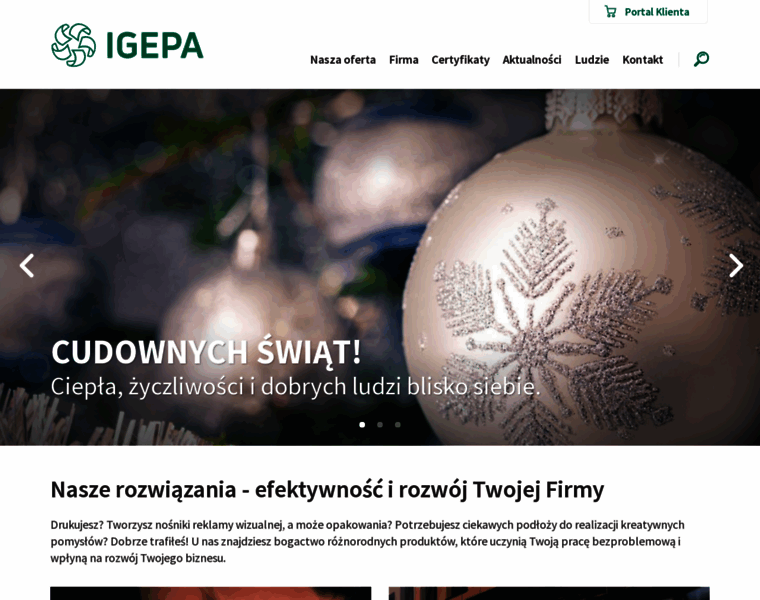 Igepa-viscom.pl thumbnail