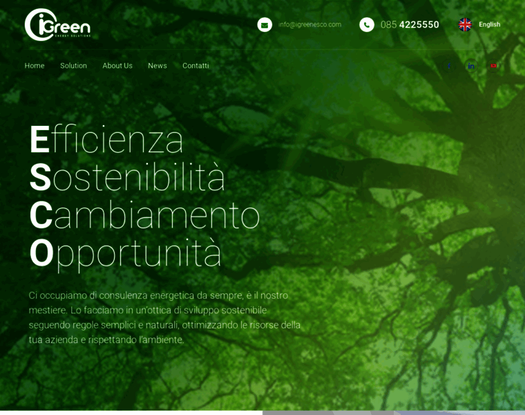 Igreenesco.com thumbnail