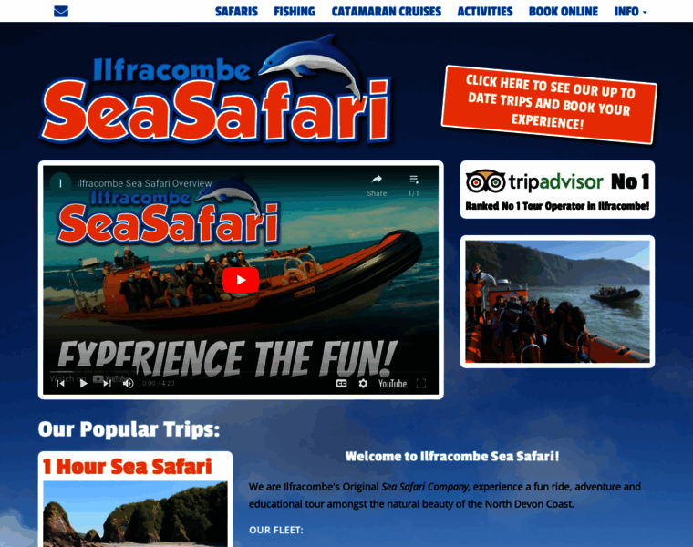 Ilfracombeseasafari.co.uk thumbnail