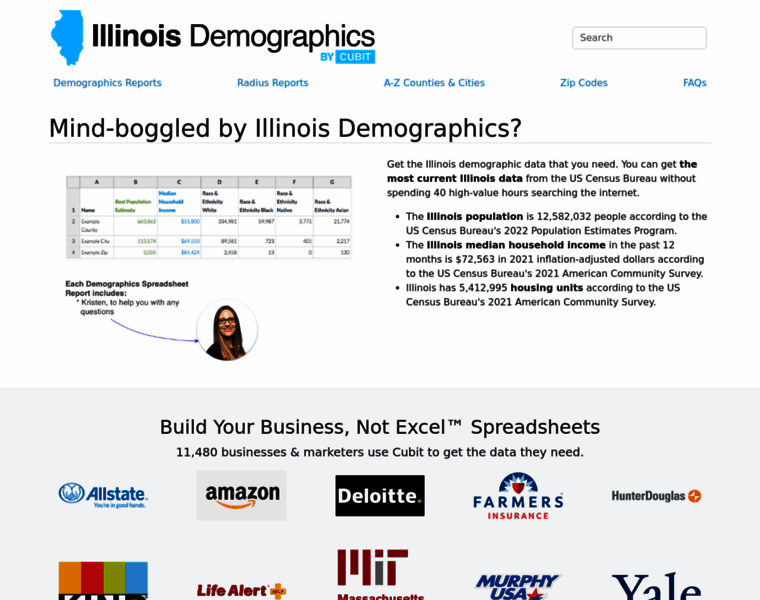 Illinois-demographics.com thumbnail
