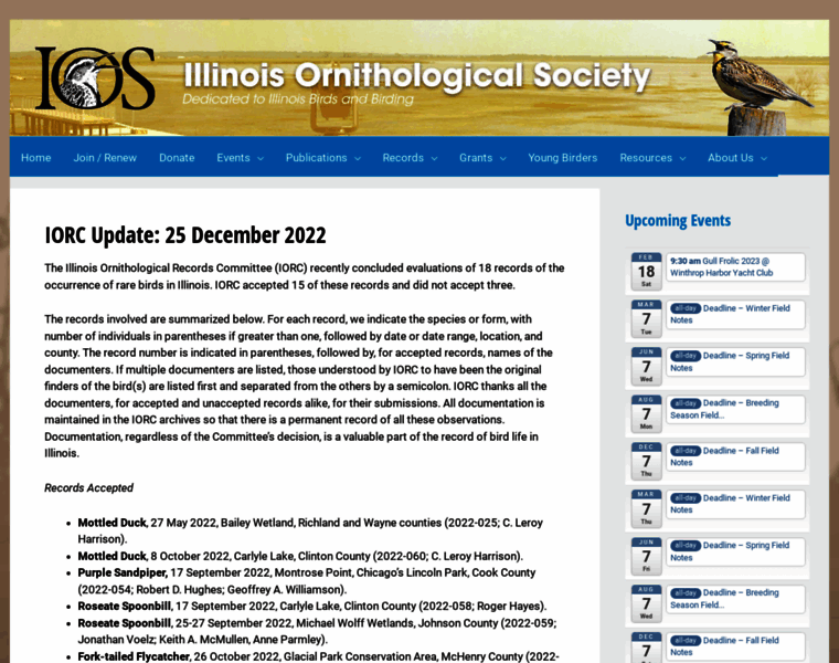Illinoisbirds.org thumbnail