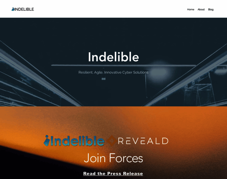 Indelible.global thumbnail