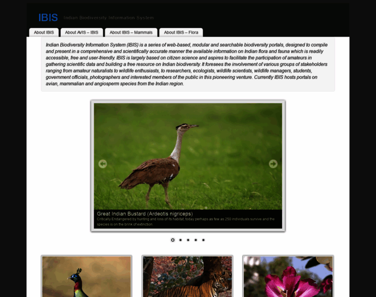 Indianbiodiversity.org thumbnail