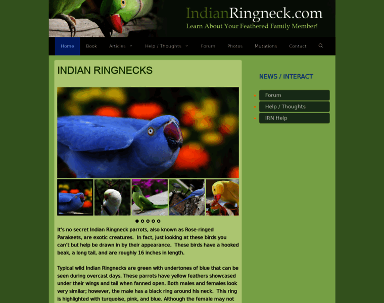 Indianringneck.com thumbnail