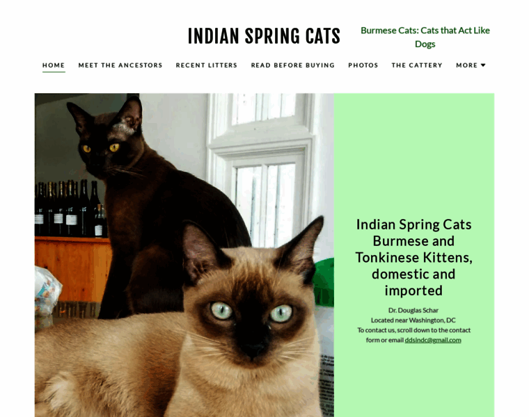 Indianspringcats.com thumbnail