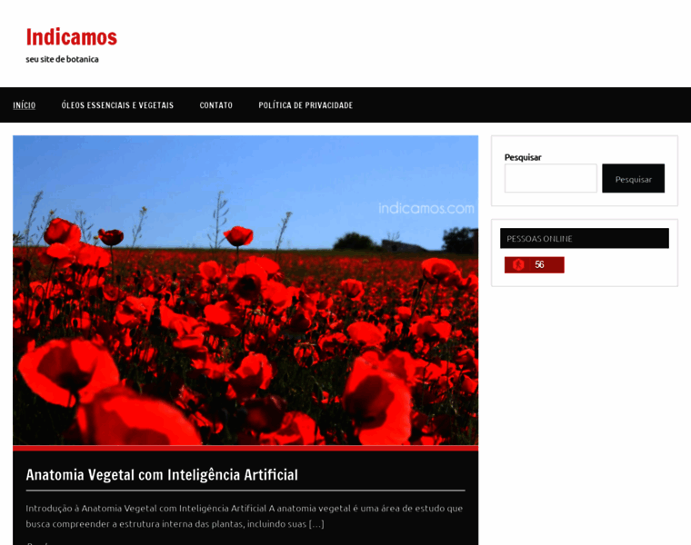 Indicamos.com thumbnail