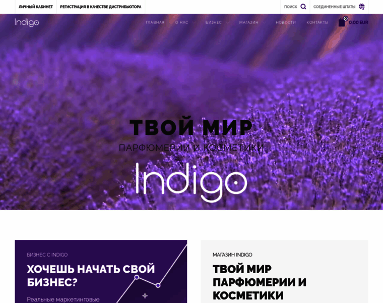 Indigo-holding.com thumbnail