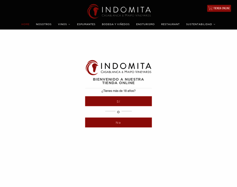 Indomita.cl thumbnail