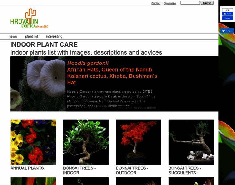 Indoor-plant-care.com thumbnail