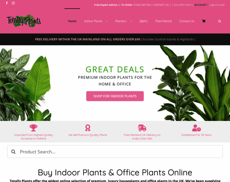 Indoor-plants.co.uk thumbnail