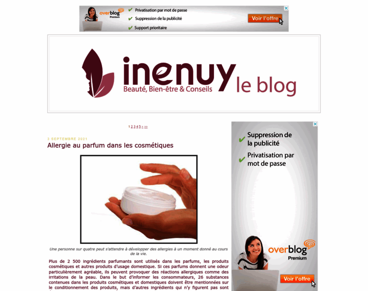 Inenuy-leblog.fr thumbnail