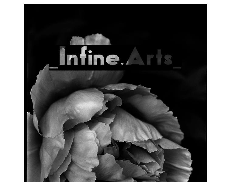 Infine-arts.net thumbnail