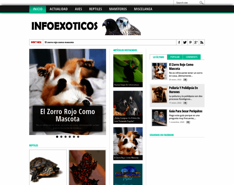 Infoexoticos.com thumbnail