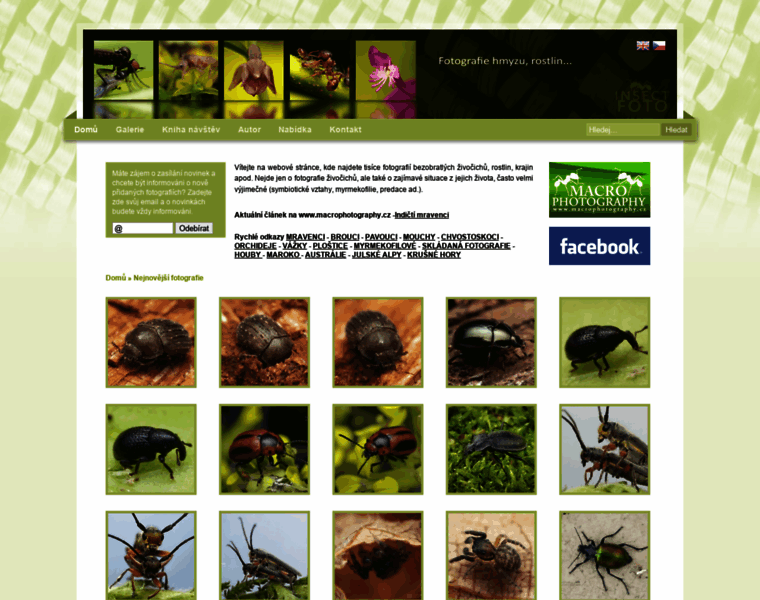 Insect-foto.com thumbnail