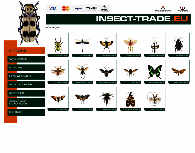 Insect-trade.eu thumbnail