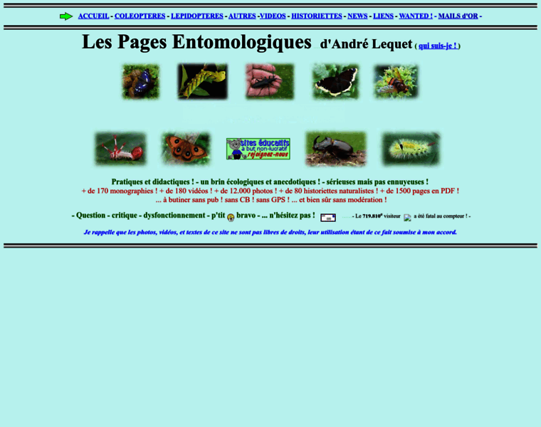 Insectes-net.fr thumbnail