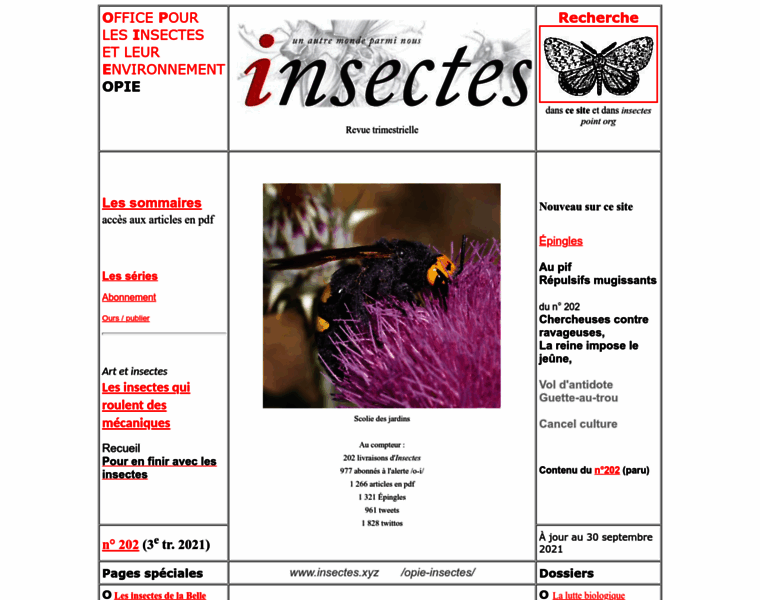 Insectes.xyz thumbnail
