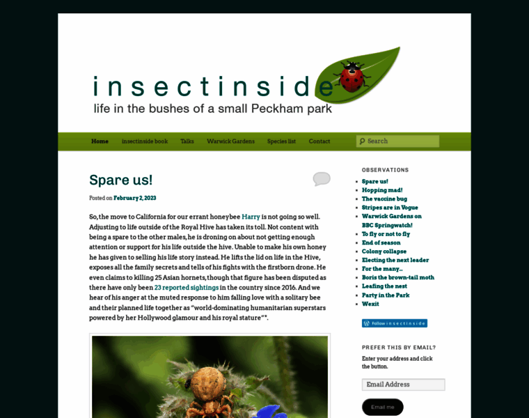 Insectinside.me thumbnail