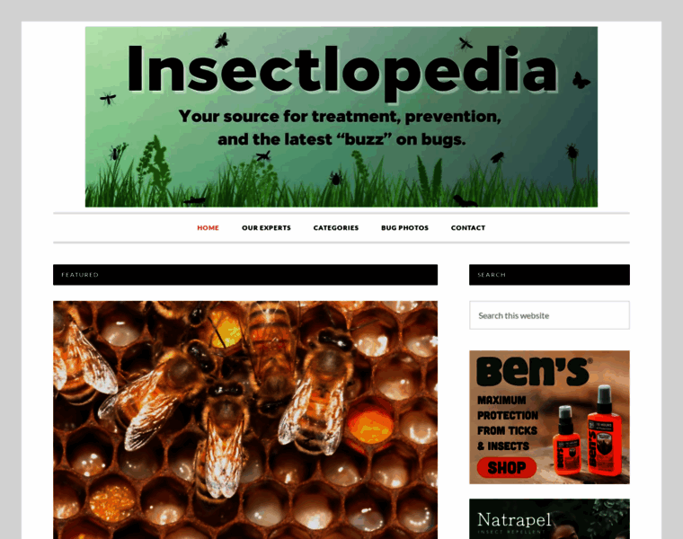 Insectlopedia.com thumbnail