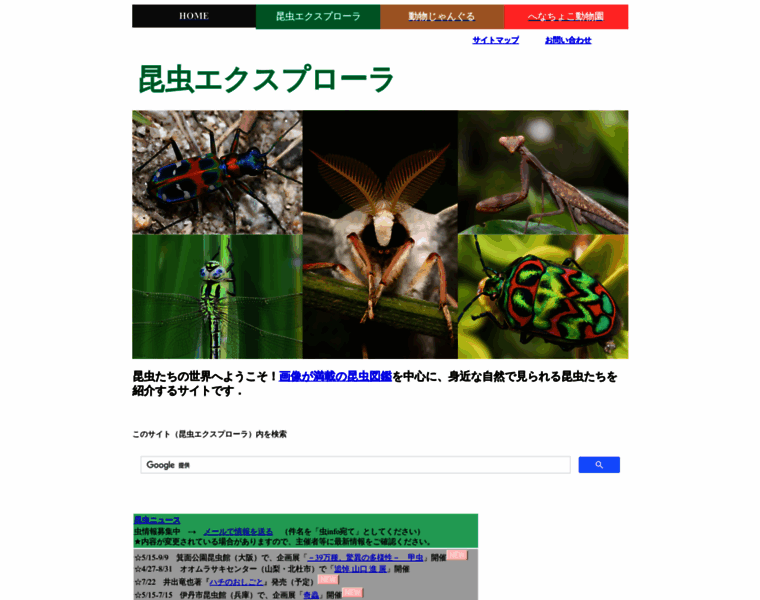 Insects.jp thumbnail