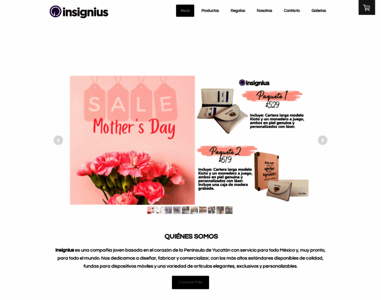Insignius.com.mx thumbnail