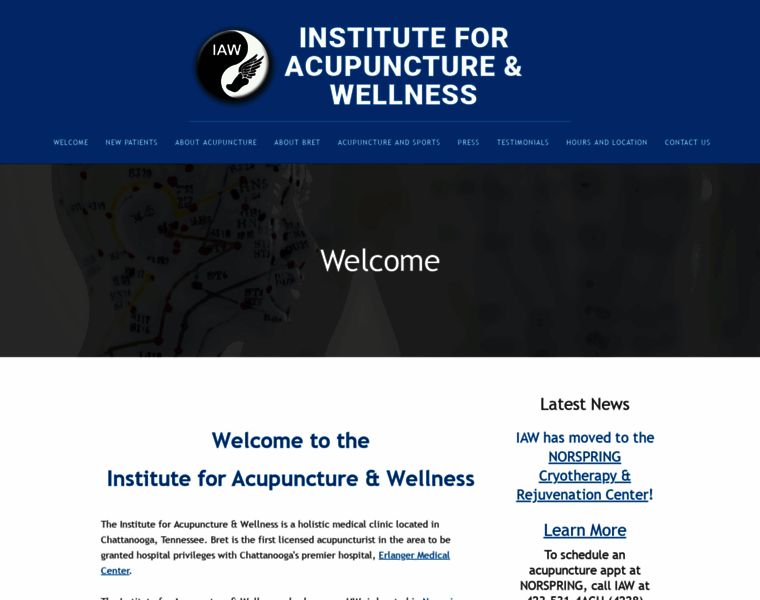 Instituteforacupuncture.com thumbnail