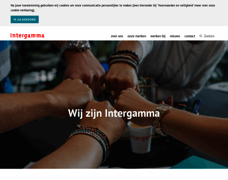 Intergamma.nl thumbnail