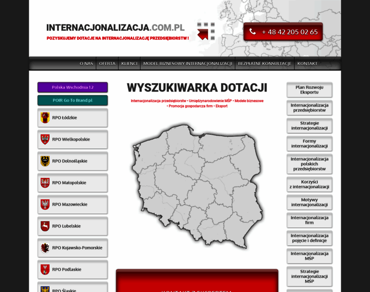 Internacjonalizacja.com.pl thumbnail
