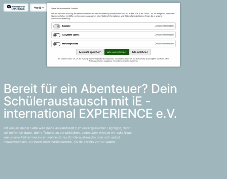 International-experience.net thumbnail