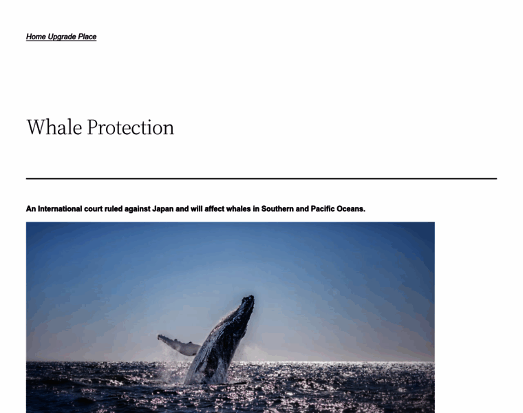Internationalwhaleprotection.org thumbnail