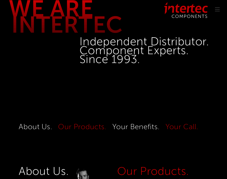 Intertec-components.de thumbnail