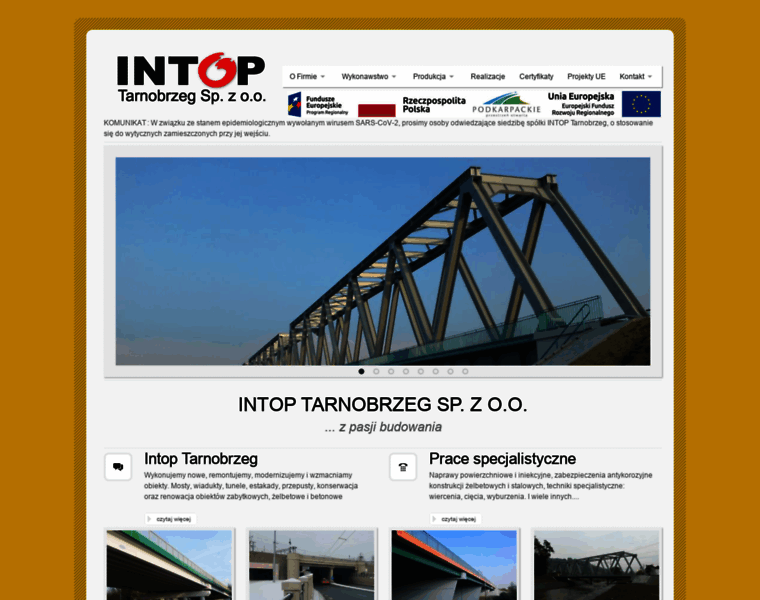 Intop.tbg.net.pl thumbnail