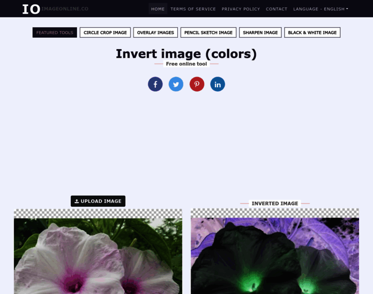 Invert.imageonline.co thumbnail