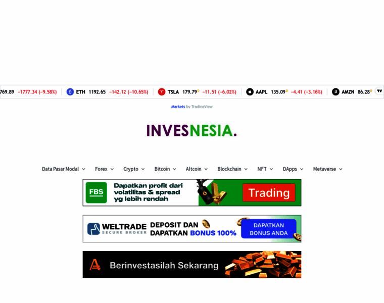 Invesnesia.com thumbnail