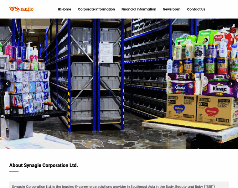 Investor.synagie.com thumbnail